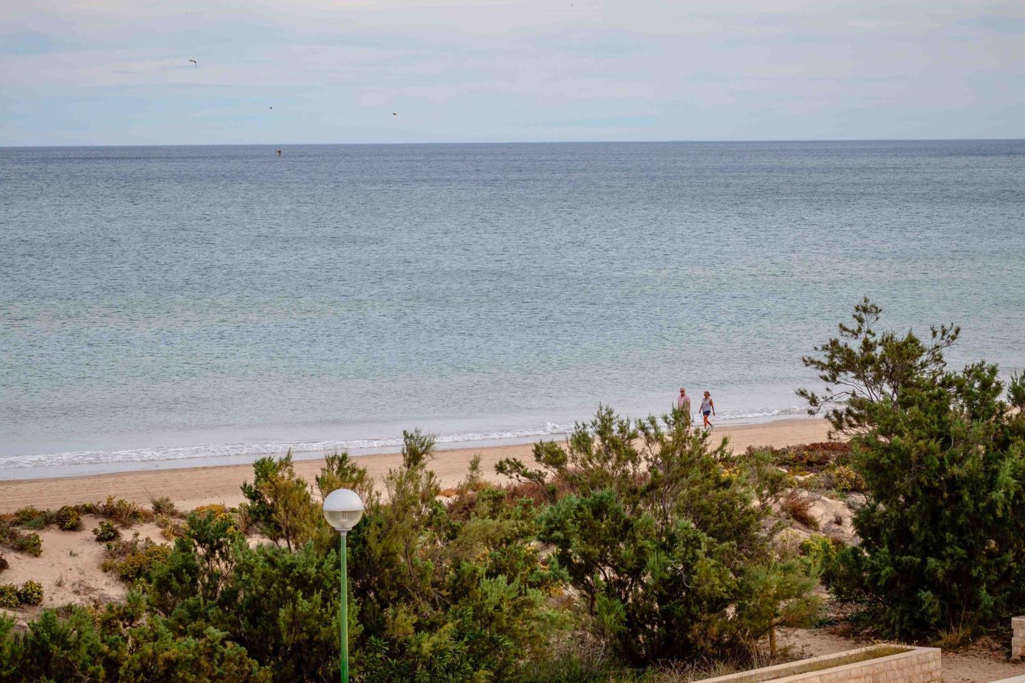 Relax Total Junto Al Mar * Oliva